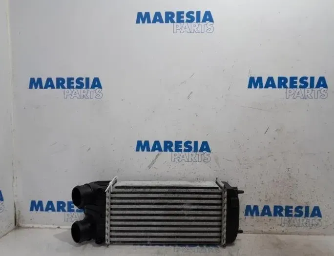 CITROËN DS3 1 generation (2010-2015) Intercooler radiátor U2319003,1440P8,000043335C,9685426580 27887830