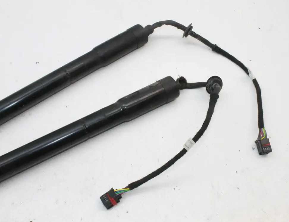 LAND ROVER Range Rover Evoque L538 (1 gen) (2011-2020) Sada plynových pružin kufru 937917-201 33935750