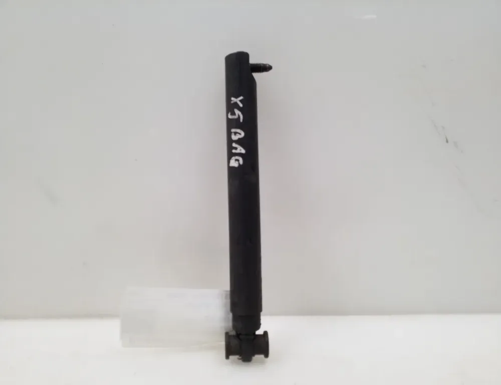 BMW X5 E53 (1999-2006) Levý plynový tlumič na zadní vrata 8402195 34853937
