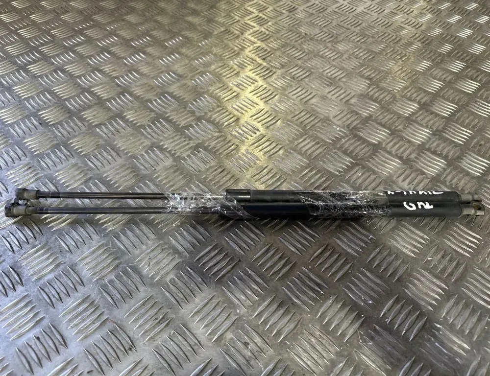 NISSAN X-Trail T30 (2001-2007) Pravý plynový tlumič na zadní vrata 90450EQ300 34834847