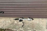 MERCEDES-BENZ CLS-Class C218/X218 (2011-2017) Řízení Rack 7806501353,7806974794 32587702