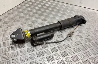 MERCEDES-BENZ R-Class W251 (2005-2017) Амортизатор задний правый 423135jp 34058922