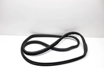 MERCEDES-BENZ GL-Class X164 (2006-2012) Rear Right Door Seal Rubber A1646900776 33916008