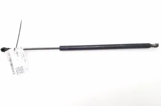 BMW X5 E53 (1999-2006) Levý plynový tlumič na zadní vrata 8402405 34853953