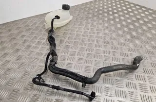 NISSAN Juke 2 generation (2019-2023) Расширительный бак 217102572R 30770438