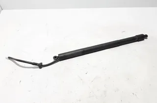 LEXUS NX 2 generation (2021-2023) Pravý plynový tlumič na zadní vrata 68910F6012 28239070