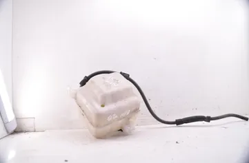 HYUNDAI ix35 1 generation (2009-2015) Nádrž expanzní nádrže chladicí kapaliny 254302S000 34856327