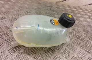 NISSAN Juke 2 generation (2019-2023) Расширительный бак 217102572r 31003318